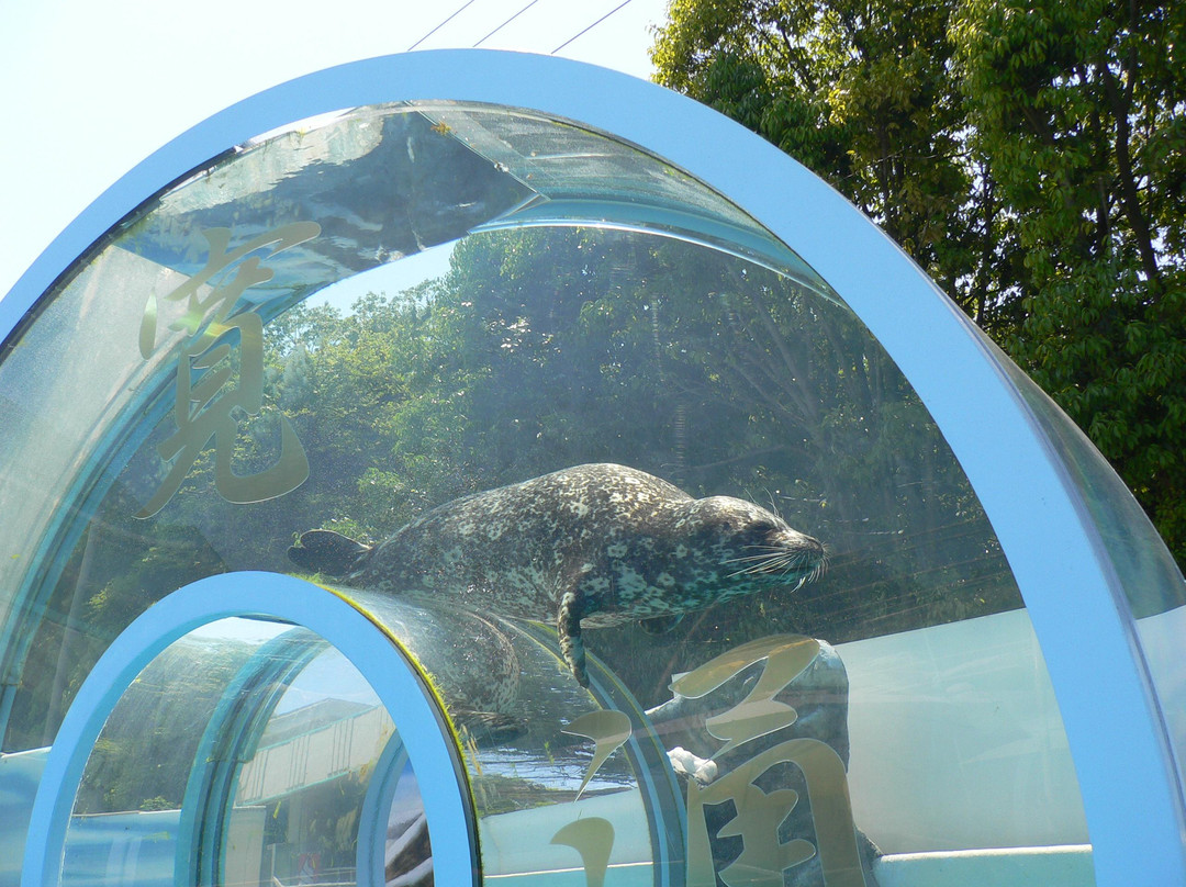New Yashima Aquarium景点图片
