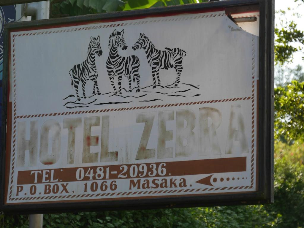 Zebra Hotel主图