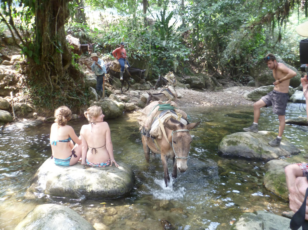 迷失之城-圣玛尔塔必去景点