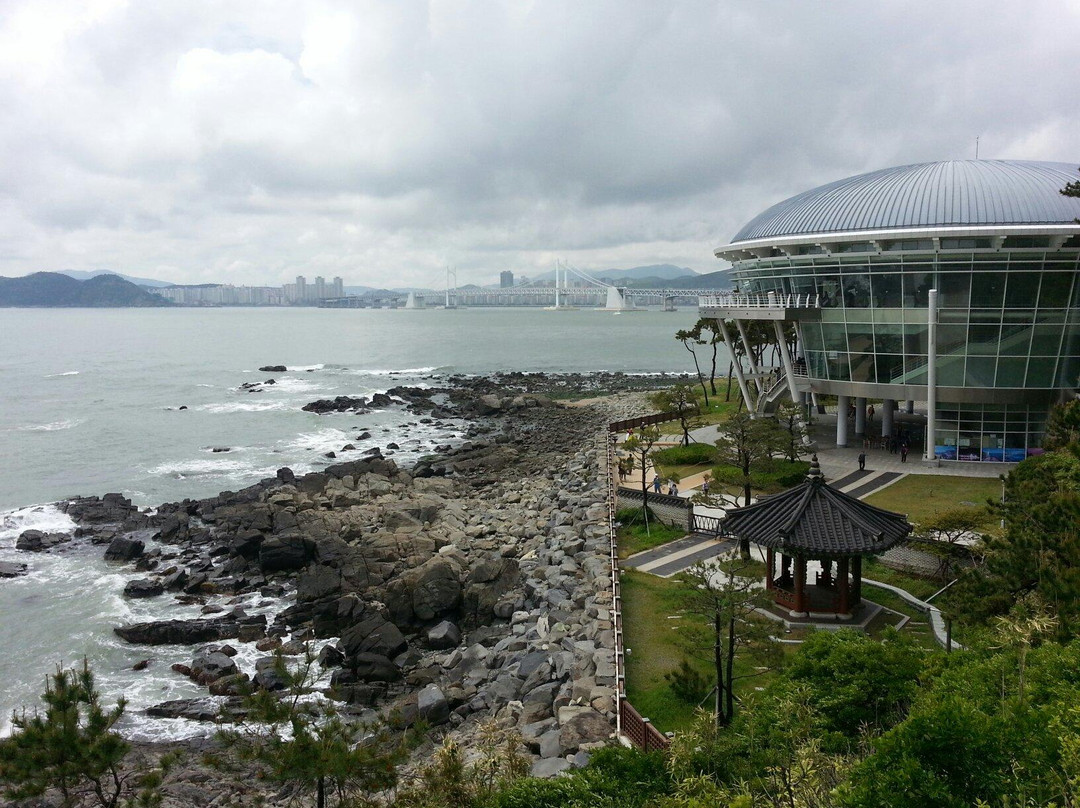 APEC Naru Park-釜山必去景点