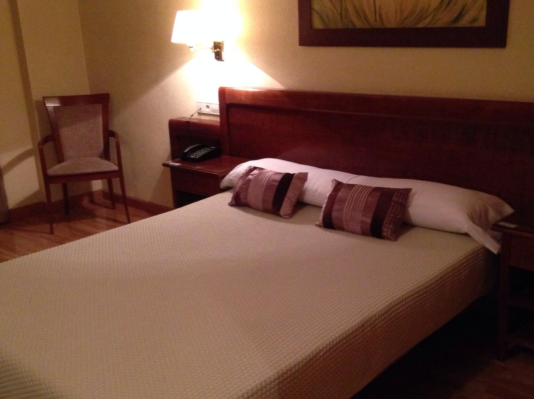 托雷洪阿尔多斯酒店住宿-Hostal Plaza Mayor