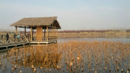 溱湖-姜堰市必去景点