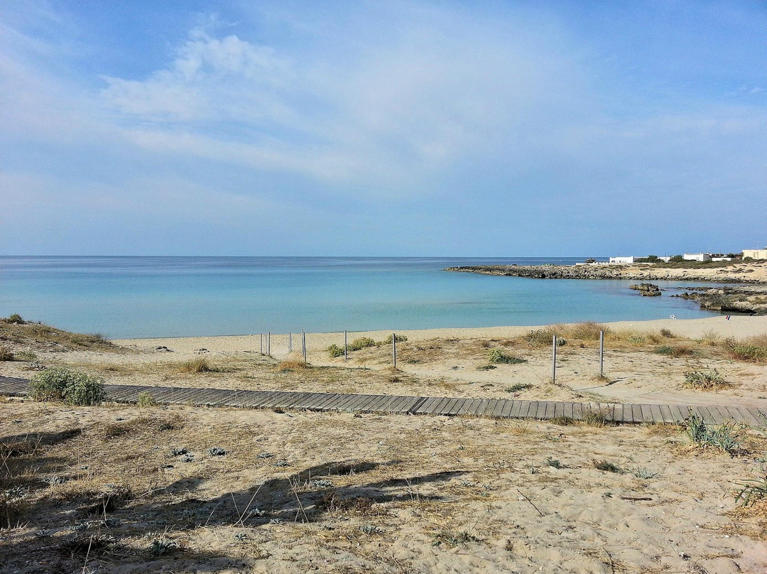 Spiaggia di Montedarena景点图片