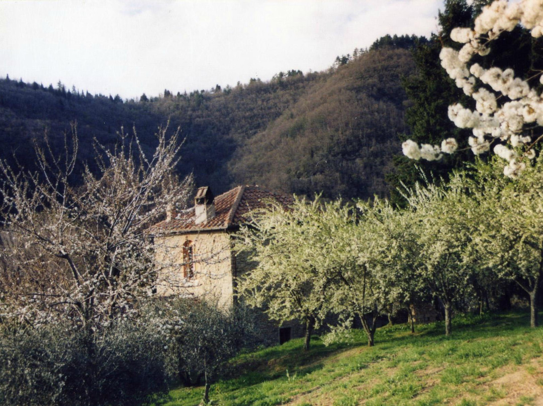 Azienda Agricola Pasquini - Agriturismo Luce
