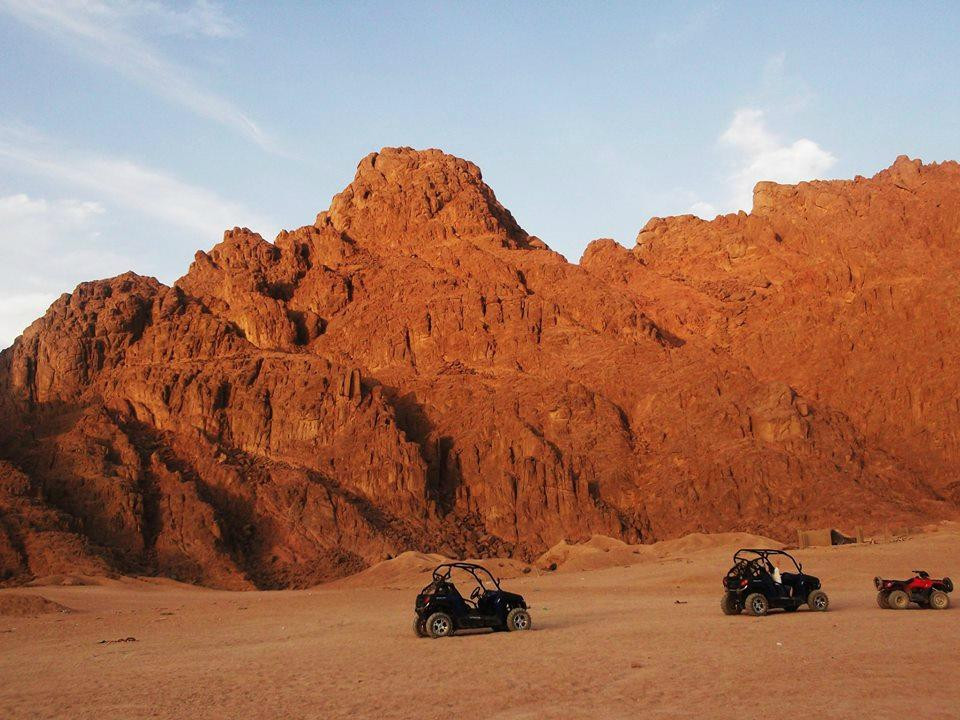 Sinai Excursions - Day Tours景点图片