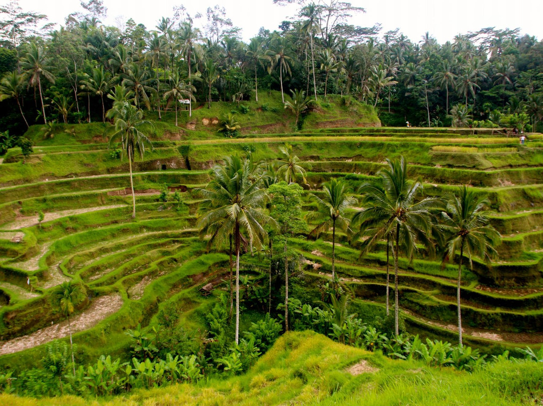 Bali Essential Tour-Kuta Selatan必去景点