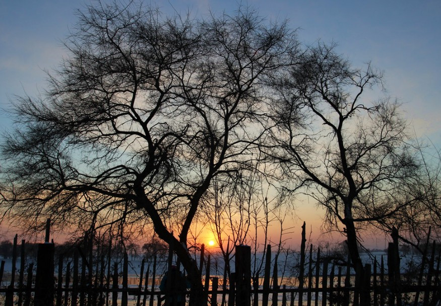 镜泊湖地下森林-宁安市必去景点
