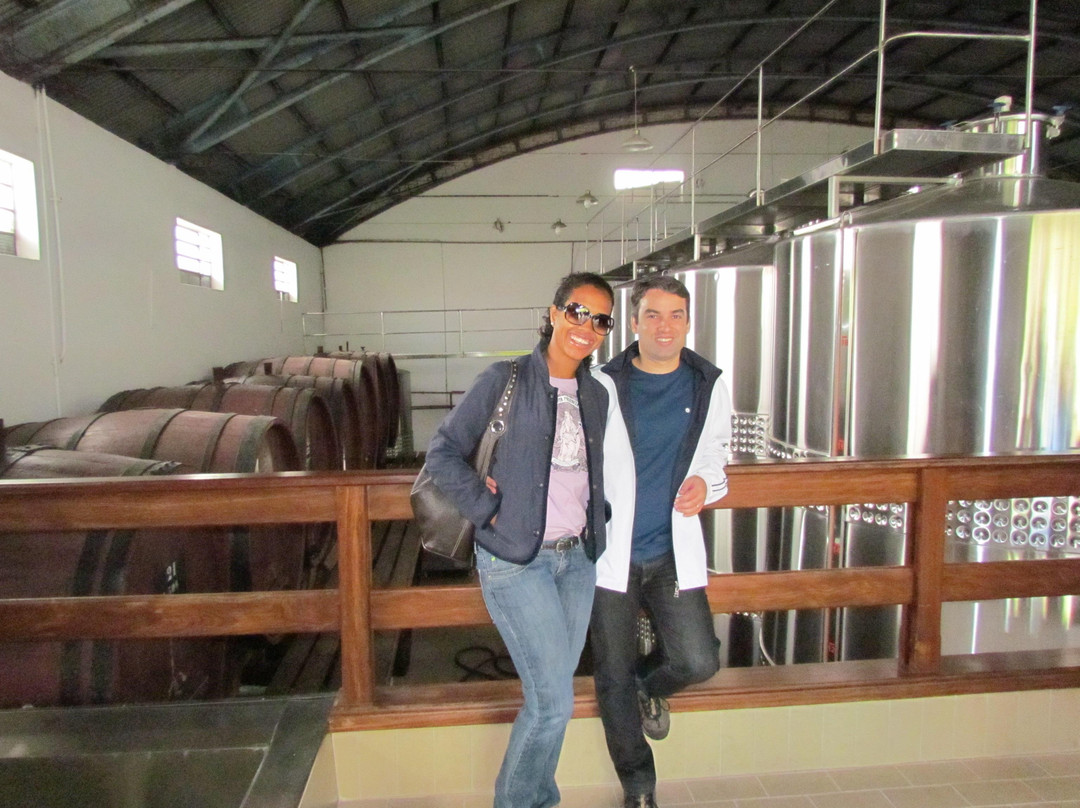 Vinhos Zanrosso-南卡希亚斯必去景点