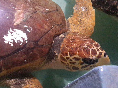 广州动物园-广州市必去景点