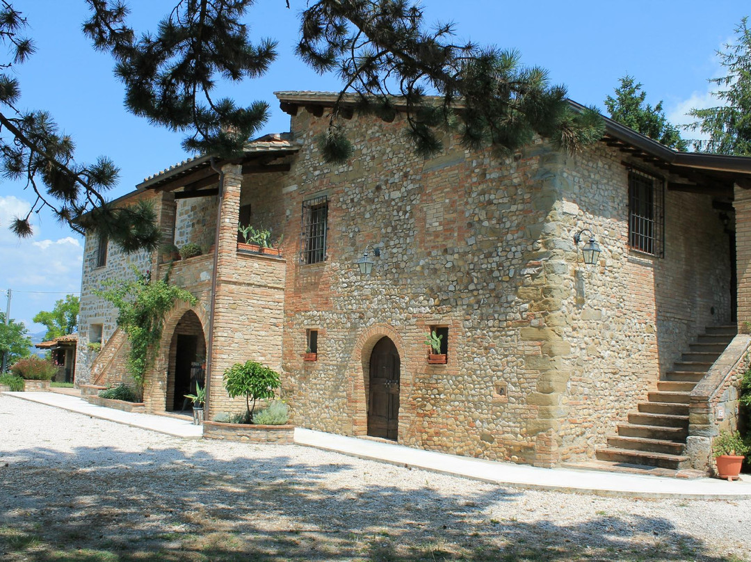 Casale del Colle - Colle degli Ulivi