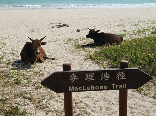 麦理浩径-香港必去景点