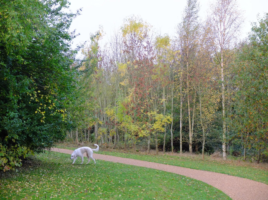 Brackmills Woods Country Park景点图片