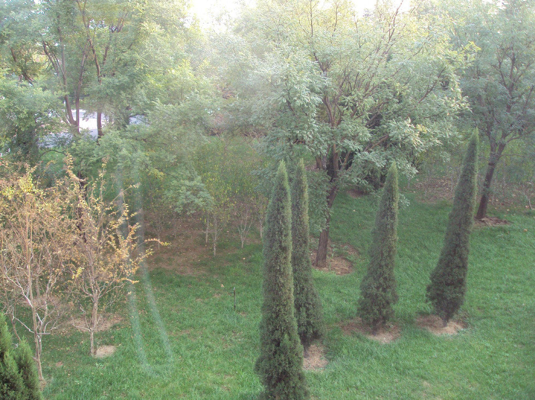 南山国际会议中心主图