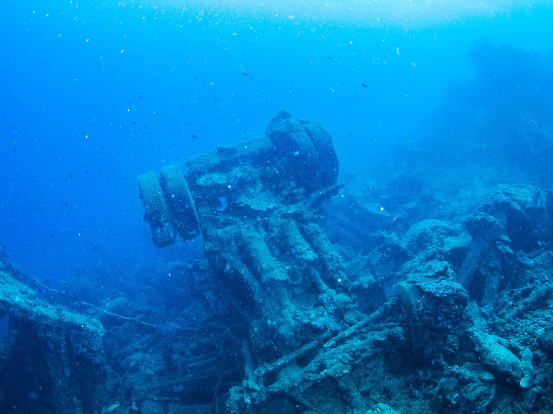Allan Power Dive Tours-埃斯皮里图桑托岛必去景点