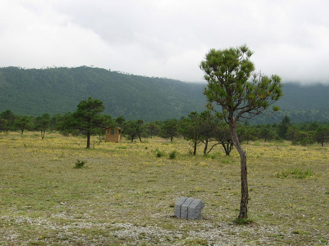 甘海子牧场-玉龙纳西族自治县必去景点