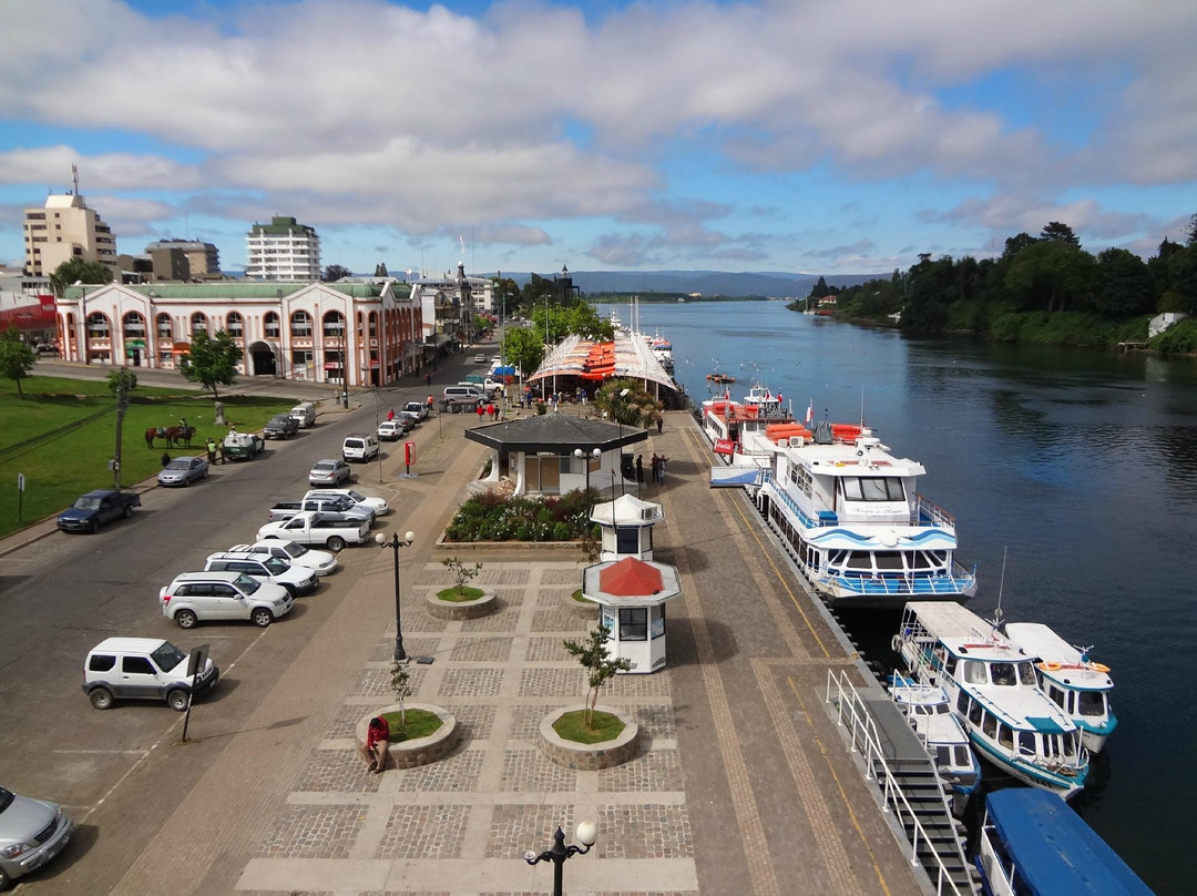 Feria Fluvial de Valdivia-瓦尔迪维亚必去景点