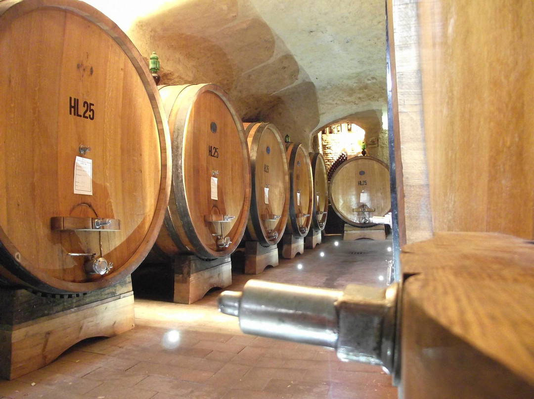 Gattavecchi Winery景点图片