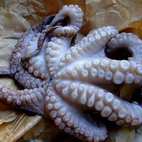 Le Bonta del Mare-Sarno必去景点