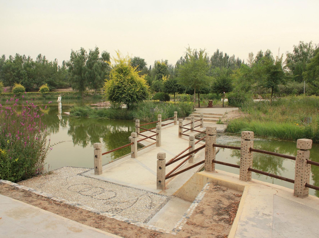 银川植物园-银川市必去景点