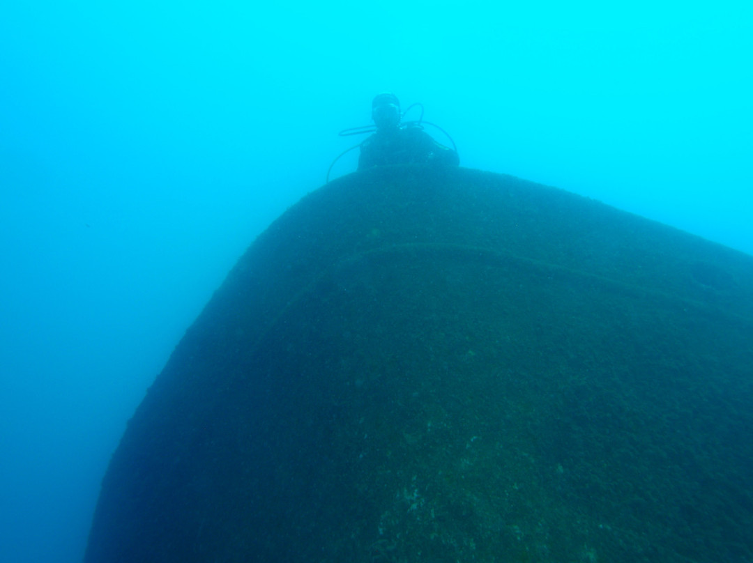 Diving nord Adriatico Jesolo-耶索洛必去景点