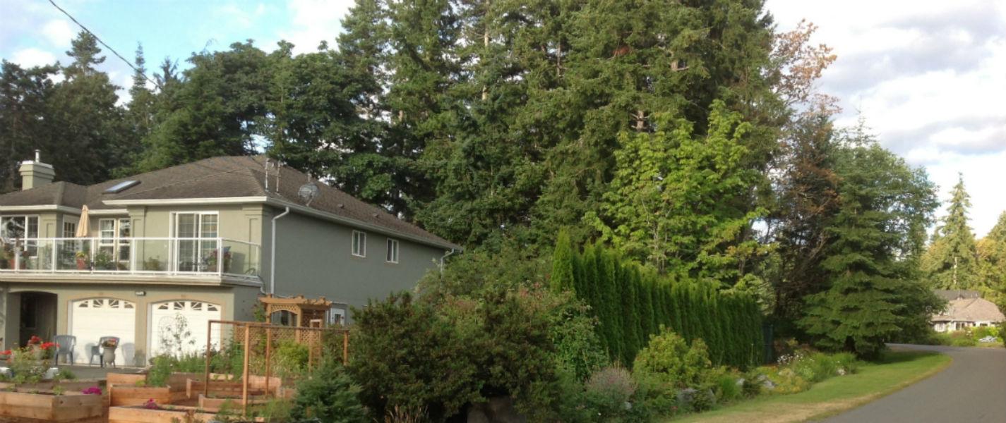 Tree Island Bed And Breakfast-客卧