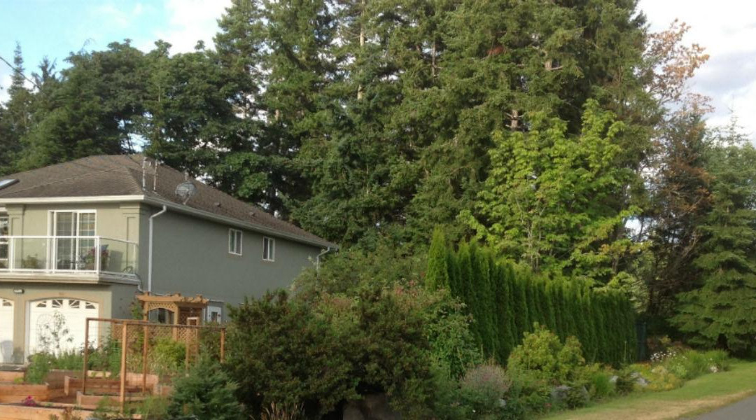 Tree Island Bed And Breakfast主图