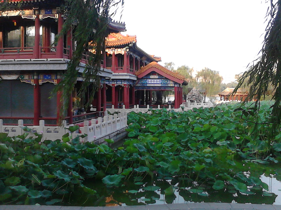 龙潭湖公园-北京市必去景点