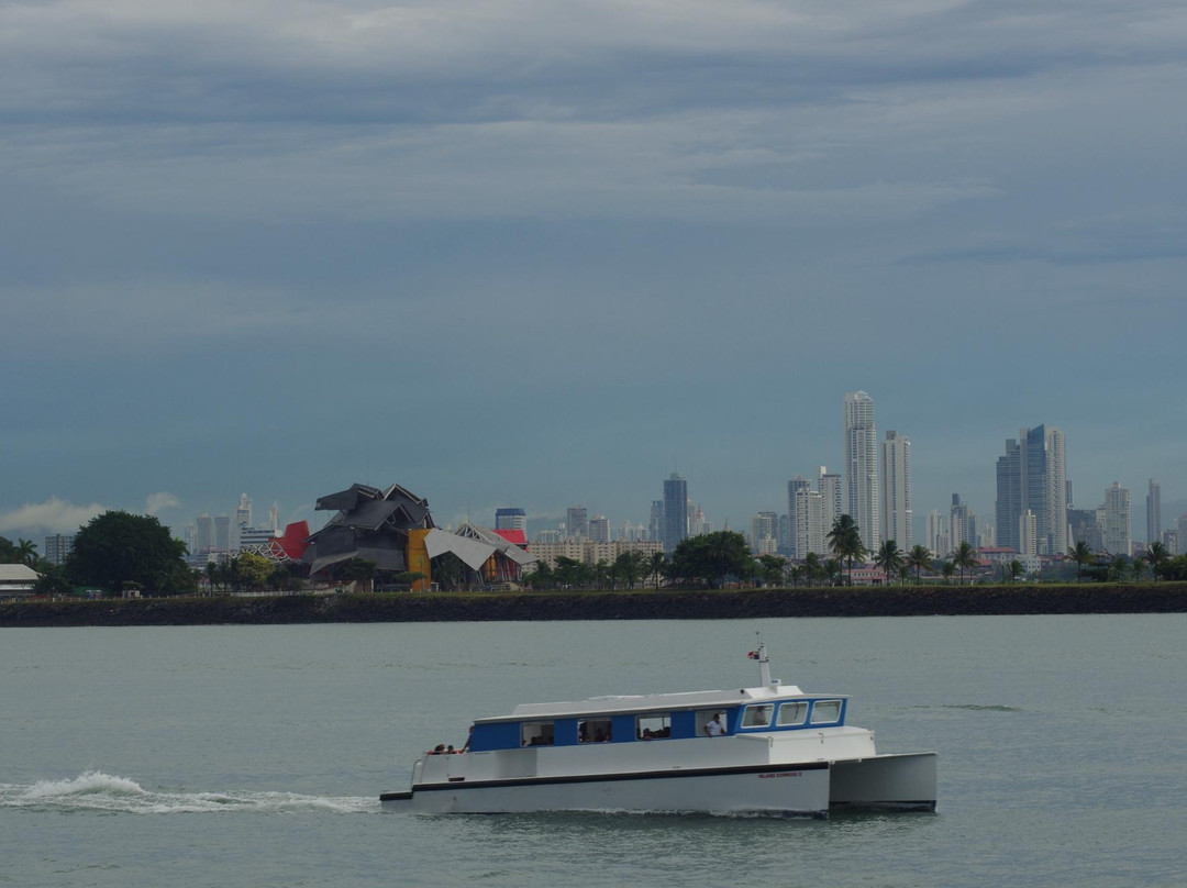 Panama Canal Partial Transit Tour景点图片