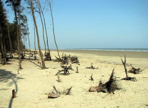Tajpur Holiday inn