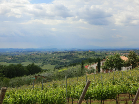 Tuscany Vespa Tours-佛罗伦萨必去景点