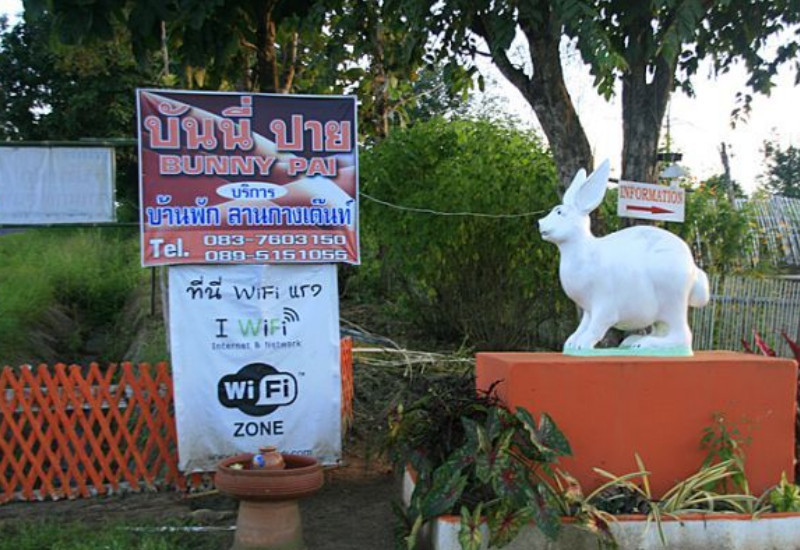 Bunny Pai主图