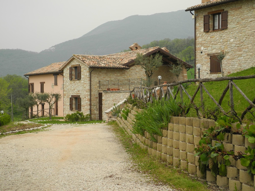 Agriturismo Il Colle del Sole