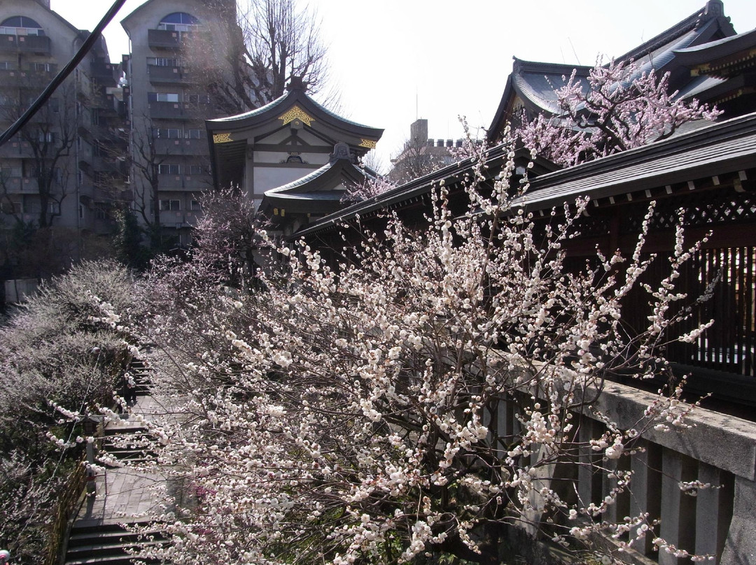 Yushima Tenjin Ume Blossom Matsuri景点图片