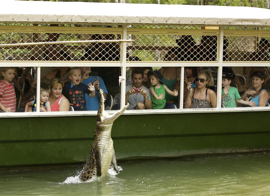 Hartley's Crocodile Adventures-Wangetti必去景点