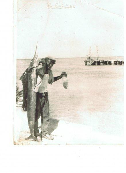 Talbot's Adventures-格雷斯湾必去景点