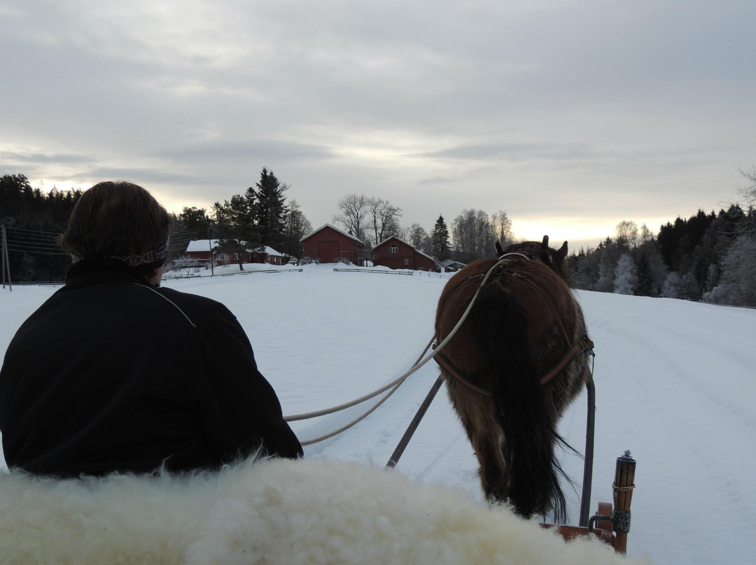 Sorbraten Farm-奥斯陆必去景点