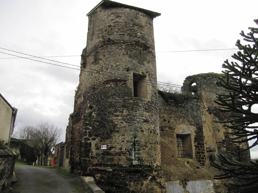 Château de Mondoubleau景点图片