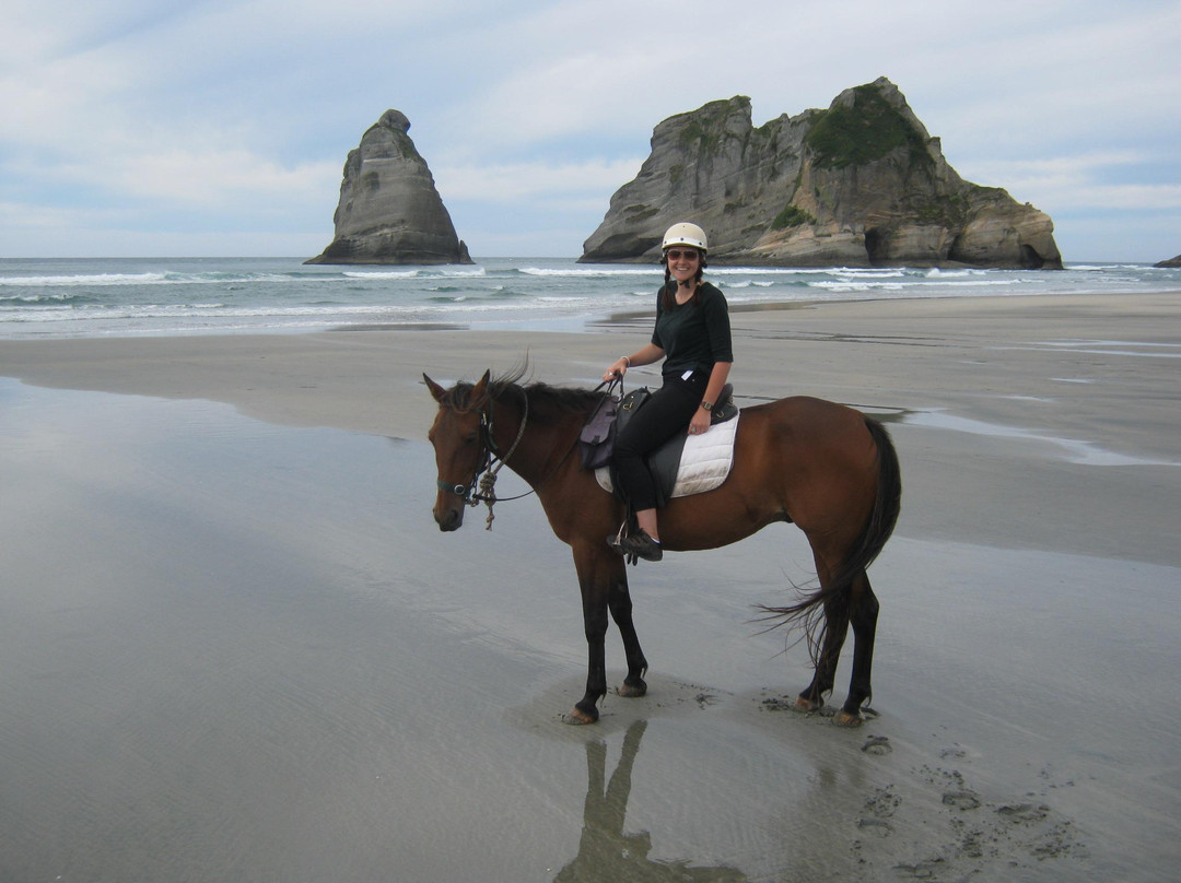 Cape Farewell Horse Treks景点图片