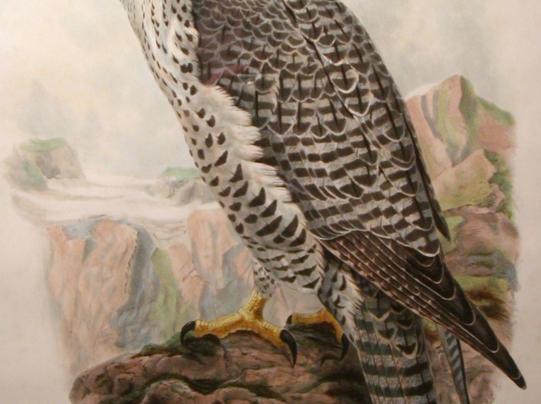 Tam O'Neill Fine Arts Gallery-丹佛必去景点