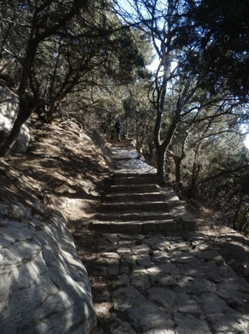 天龙山-太原市必去景点