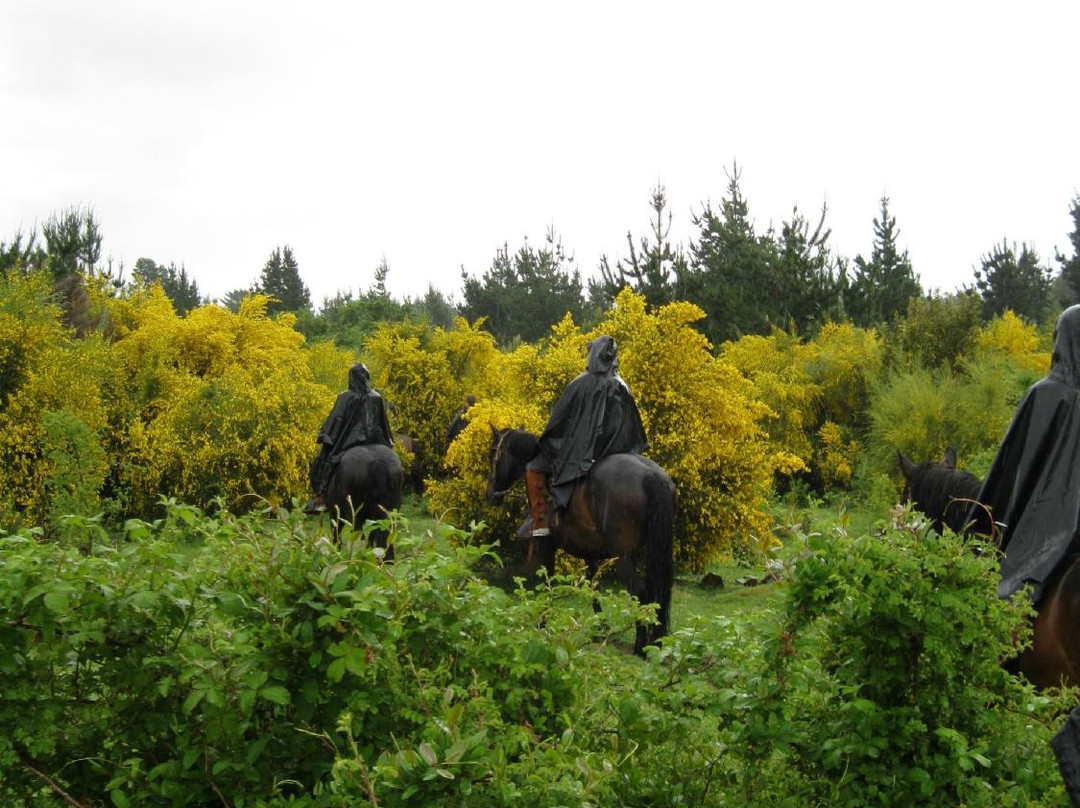 Campo Antilco-普孔必去景点