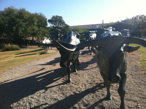 Segway Nation Dallas-达拉斯必去景点