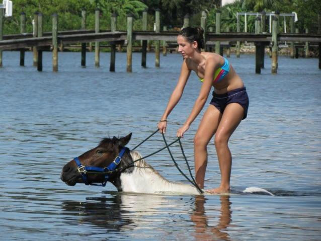 Sandy Hooves Horse Adventures-布雷登顿必去景点