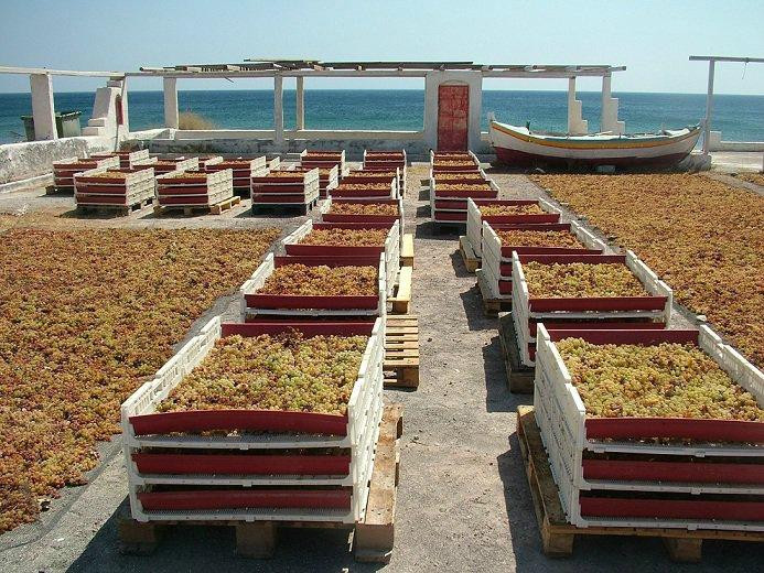 圣托里尼红酒游览-费拉必去景点