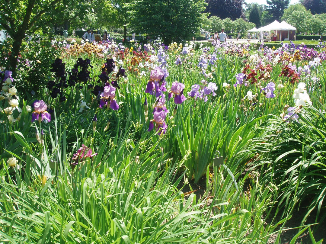 Jardin des Plantes景点图片