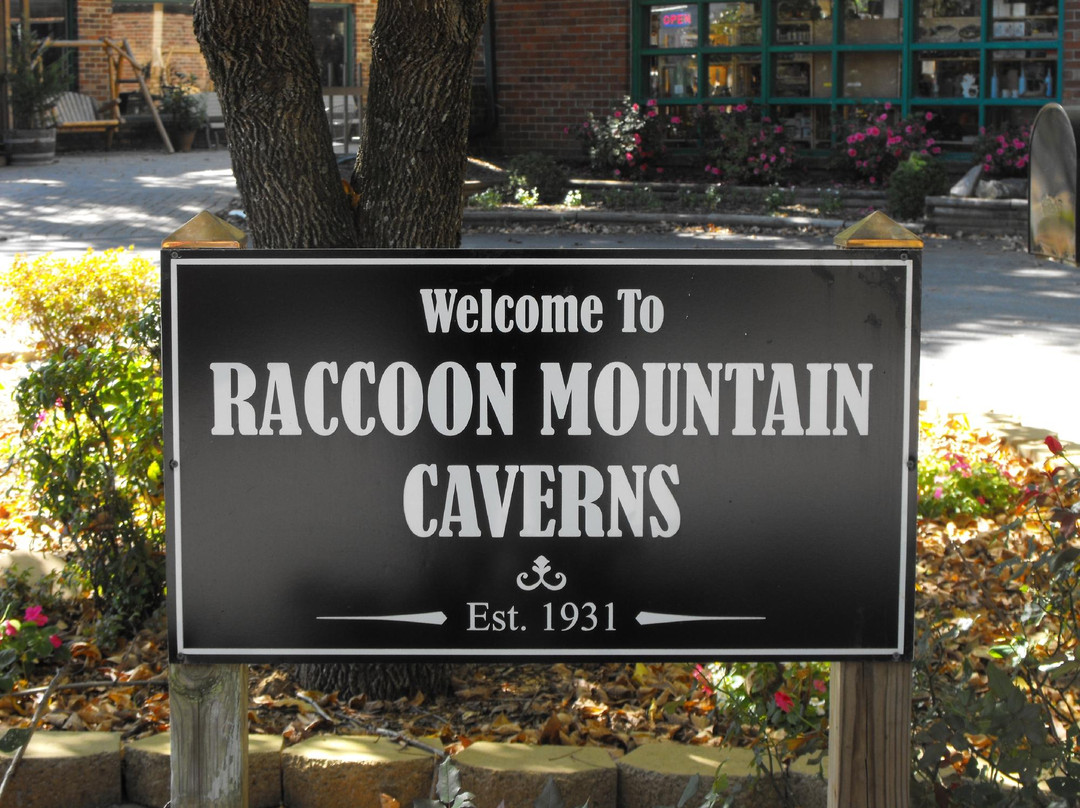 Raccoon Mountain Caverns-查塔努加必去景点
