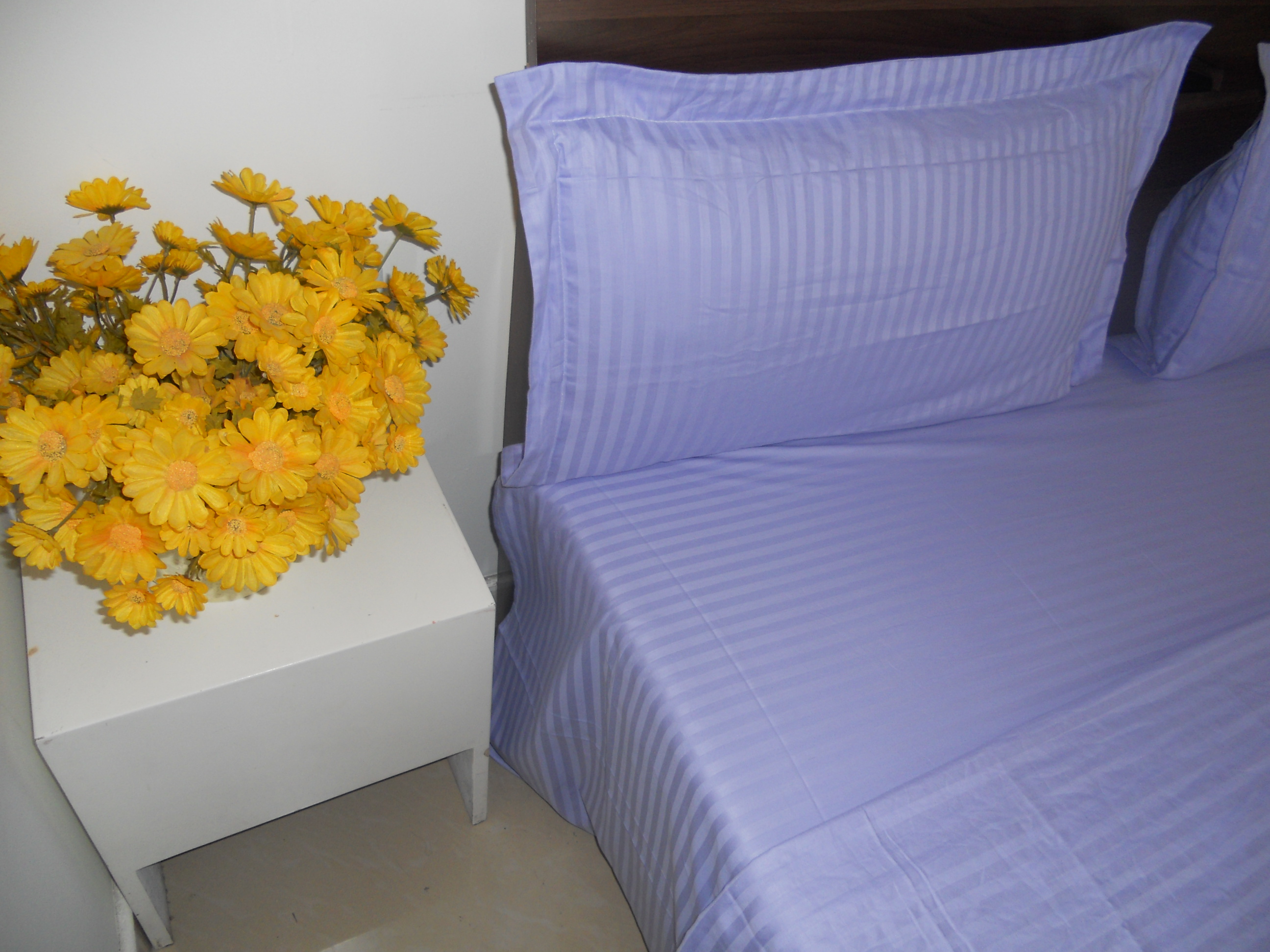 绮丽酒店式公寓 -客卧