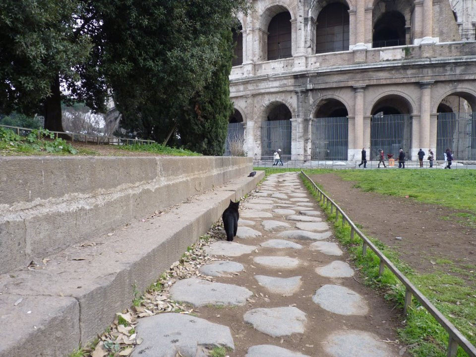 Unforgettable Rome Tours-真扎诺-迪罗马必去景点