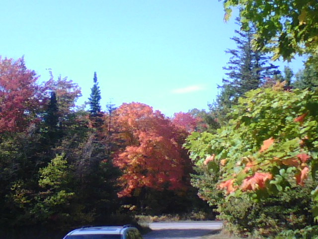 Valley Spur-缪尼辛必去景点