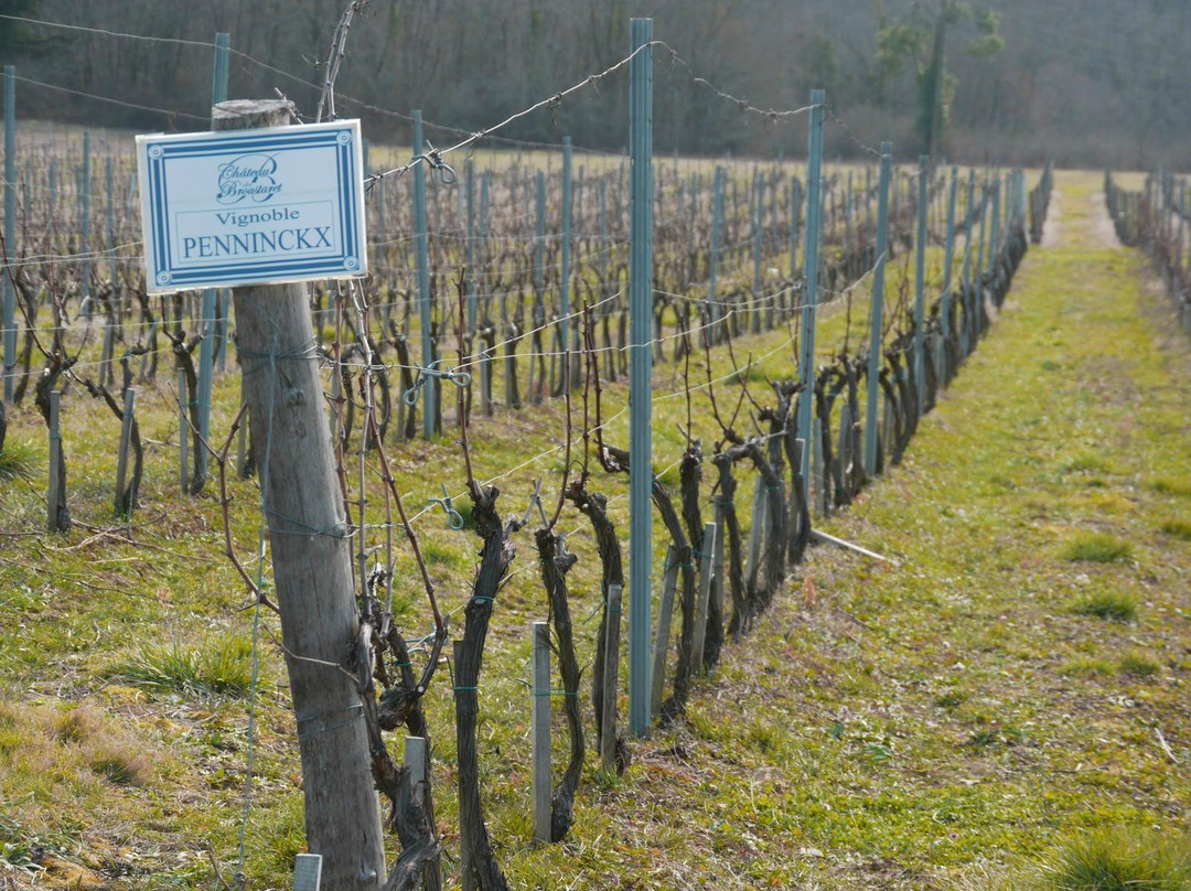 Château Du Broustaret主图